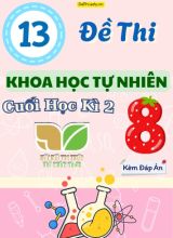 Tuyển tập 13 Đề thi cuối Kì 2 môn KHTN 8 sách Kết Nối Tri Thức (Kèm đáp án)